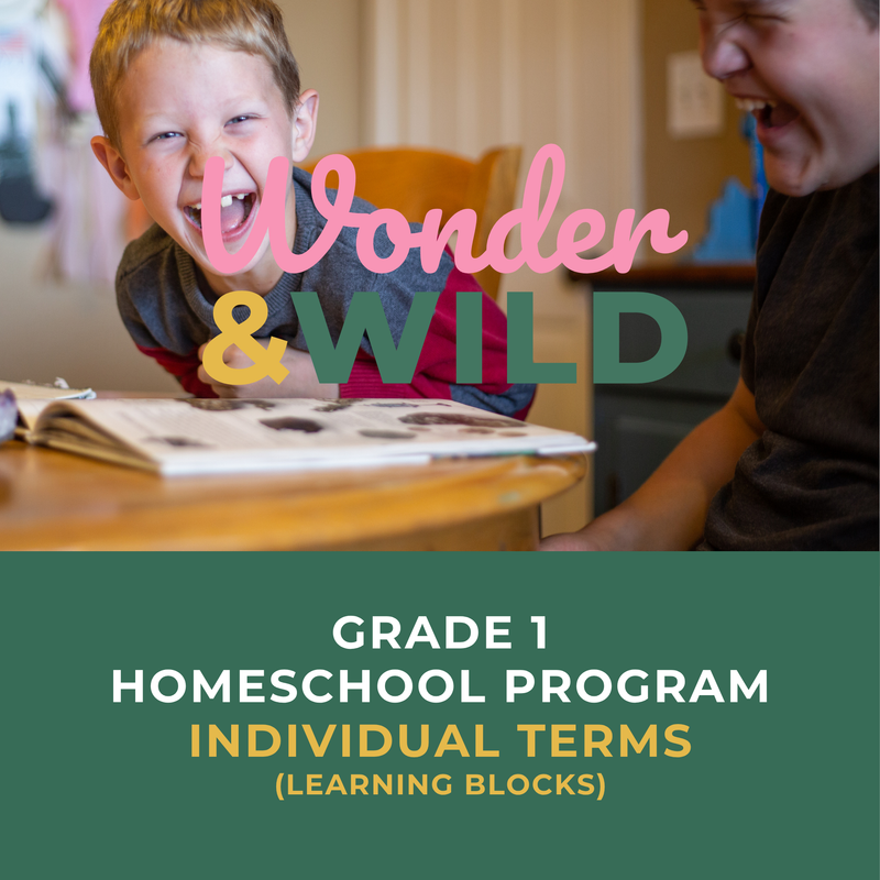 Grade 1 | Individual Terms