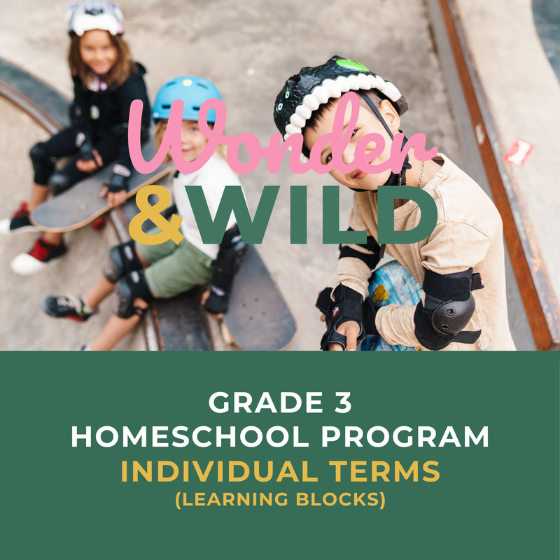 Grade 3 | Individual Terms