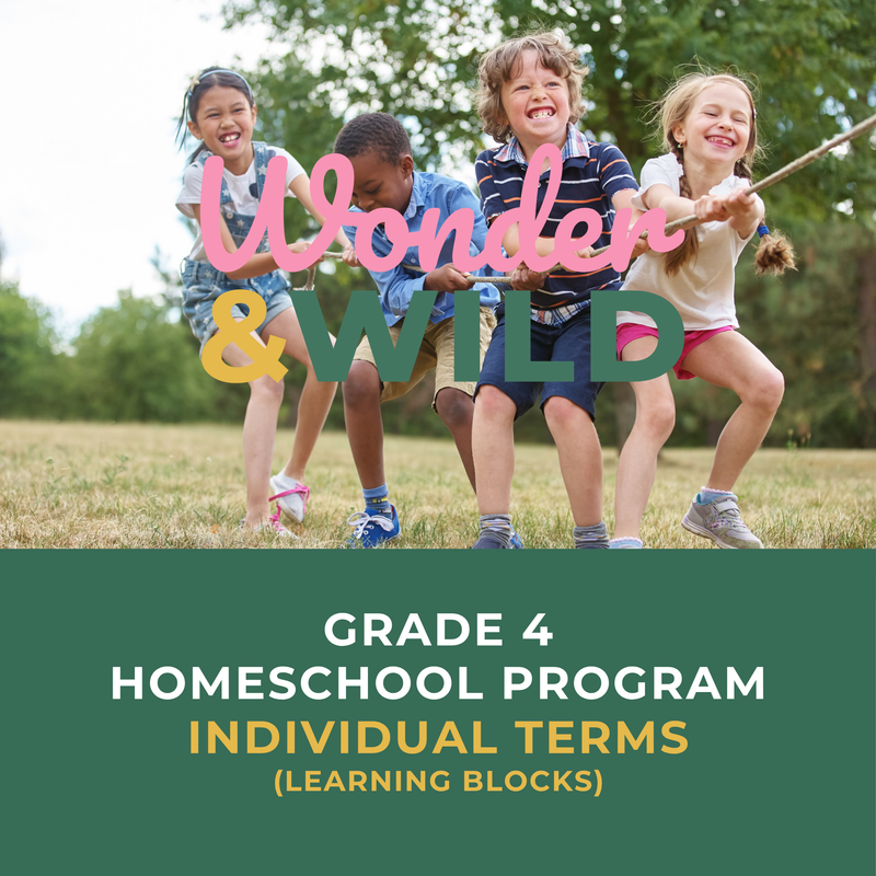 Grade 4 | Individual Terms