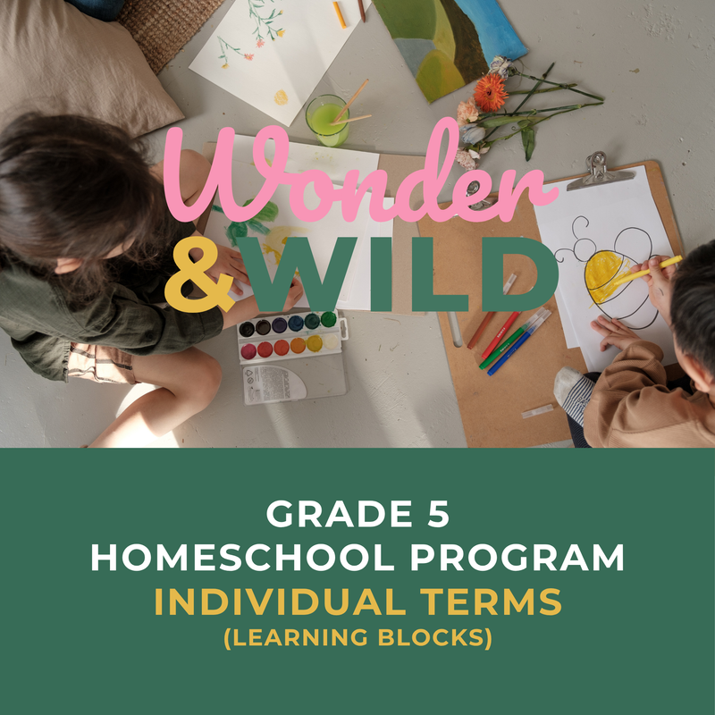 Grade 5 | Individual Terms