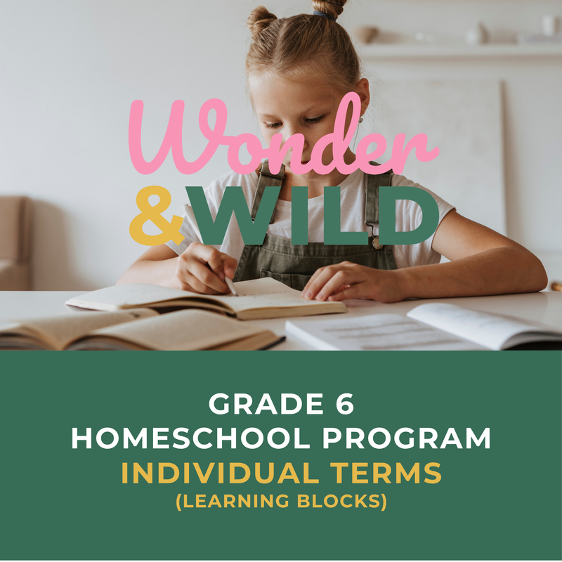 Grade 6 | Individual Terms
