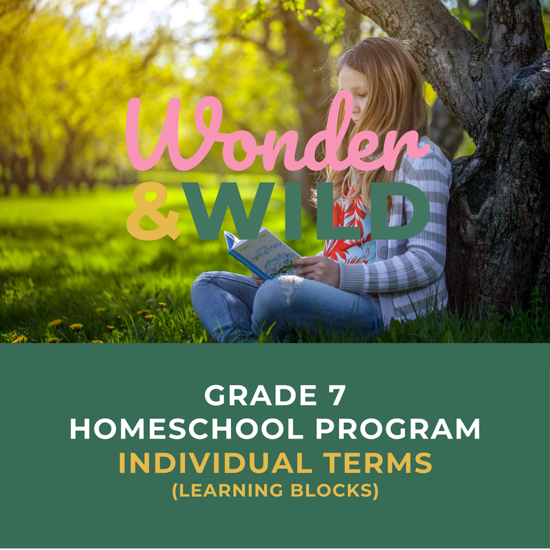 Grade 7 | Individual Terms